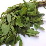 Healthy eating: What Ayurveda says about consuming bathua or goosefoot